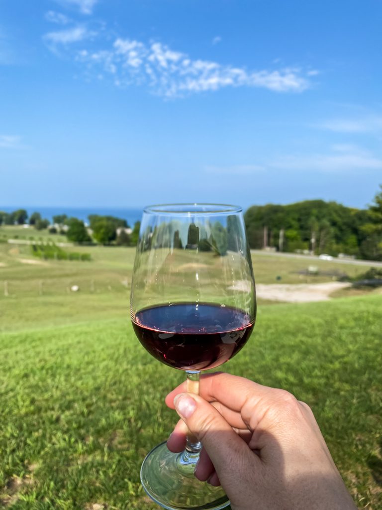 Red wine overlooking the vineyards.