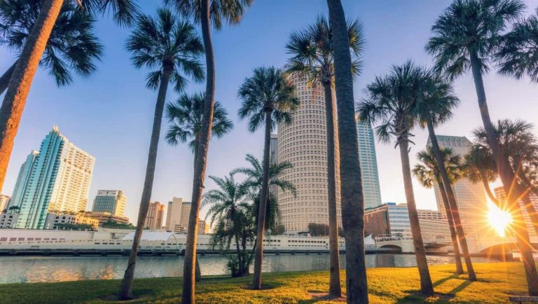 The best things to do in Tampa